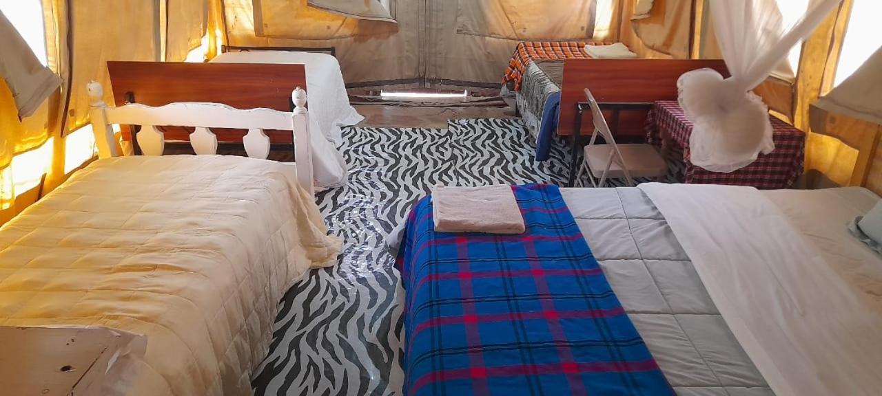 Ilkerin Camp Maasai Mara Bed & Breakfast Sekenani Eksteriør bilde